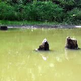 Two OClock Bayou Paddle July 14, 2012 - IMG_0001.JPG