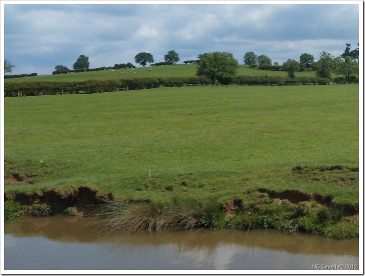 SAM_0823 Ridge and Furrow SAM_0823 Ridge and Furrow