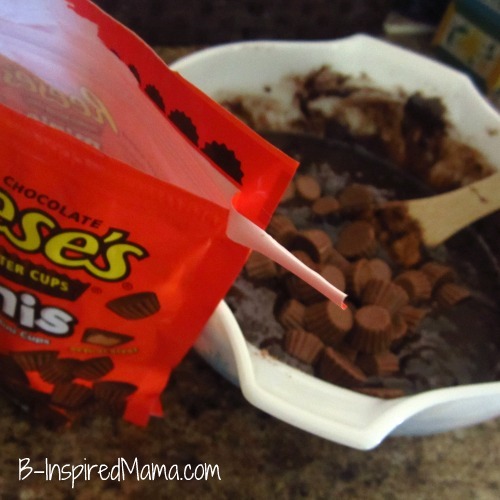 [Peanut%2520Butter%2520Cup%2520Brownies%25203%255B3%255D.jpg]