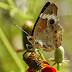 P1060142