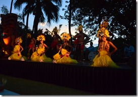 DSC_0221 DSC_0221