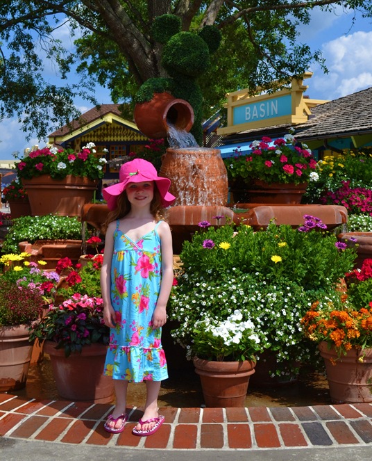 DSC_0356a DSC_0356a
