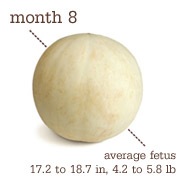 [34%2520weeks%255B3%255D.jpg]