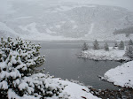 Laguna Cebollera
