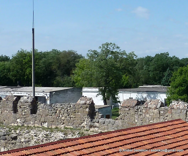 P1150806.JPG