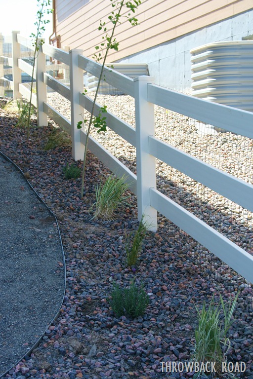 [garden%2520tour%2520may%252029%2520023%255B5%255D.jpg]