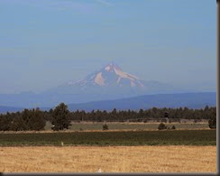 IMG_2689 IMG_2689