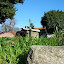 DSCN5560.JPG