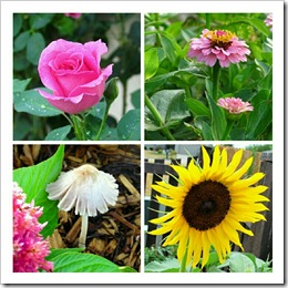 IMG_20120719_102231