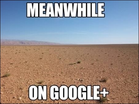Meanwhile-in-google