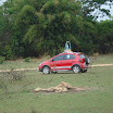 FestaVarzeadoBuriti2011-053.JPG