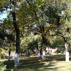 foto (13).JPG