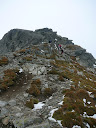 P1040137.jpg