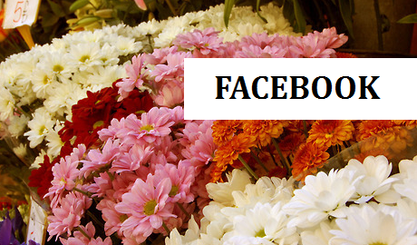 Facebook Facebook