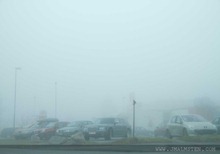 leFOG