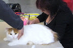091128 - Ares.jpg