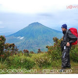 2009050911Sindoro