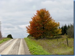 IMG_3864 IMG_3864