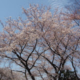 2009