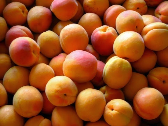 Apricots