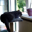 P1000014.jpg