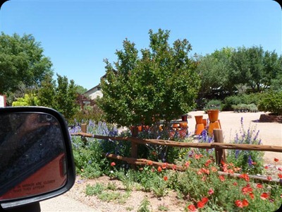 P1010393
