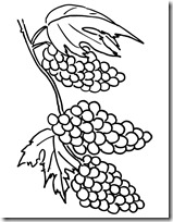 colorear uvas pintaryjugar (13) colorear uvas pintaryjugar (13)