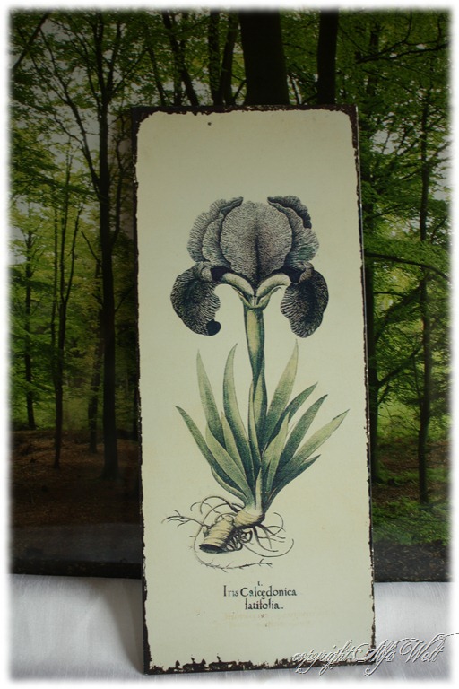 [blechschild%255B3%255D.jpg]