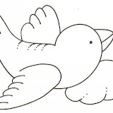 PAJARO 13