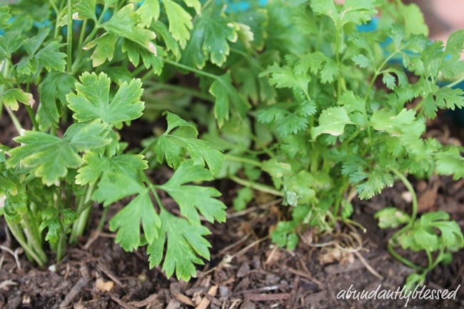 HerbsAB HerbsAB