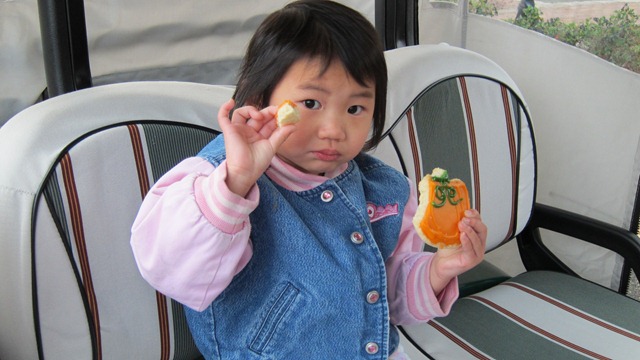 [IMG_29603.jpg]