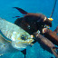 Da fish get caught - I speargunned the big shiny one and Ben hit the others. Hes a better shot than I am...but mines bigger!