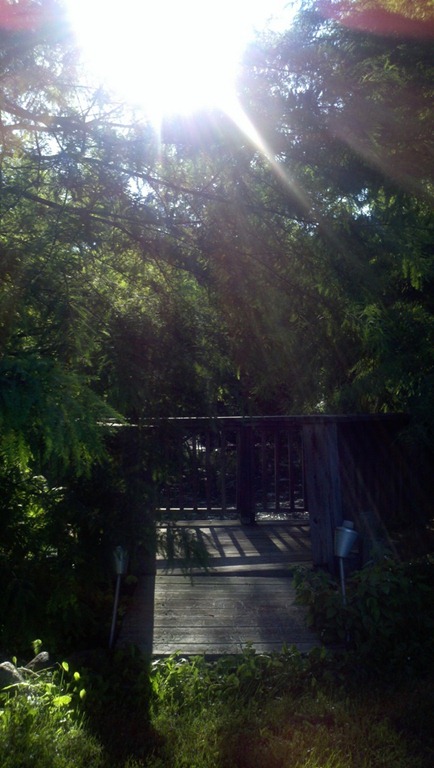 [2011-07-31_18-41-39_230%255B4%255D.jpg]
