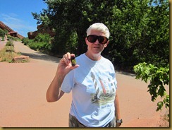 IMG_0066 IMG_0066