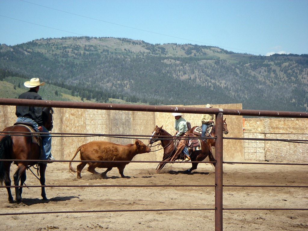 [IMGP0105B%255B4%255D.jpg]