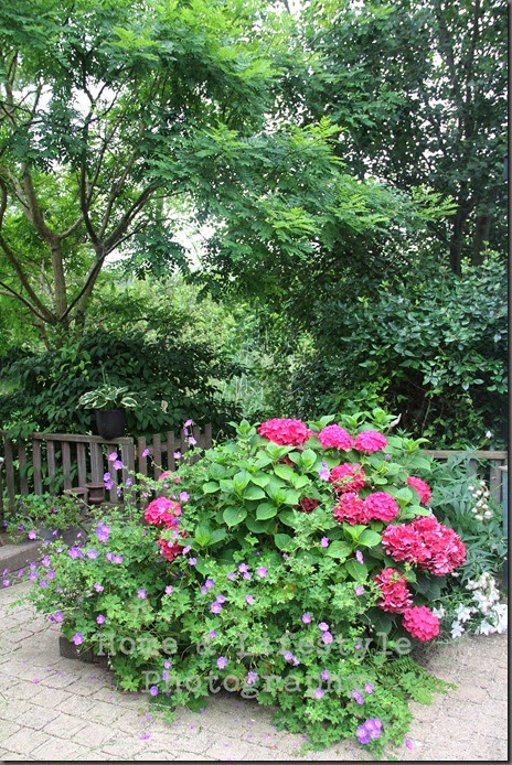 Home & Lifestyle Home & Lifestyle