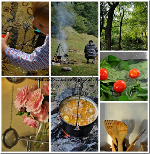 PicMonkey Collage PicMonkey CollagePicMonkey Collage