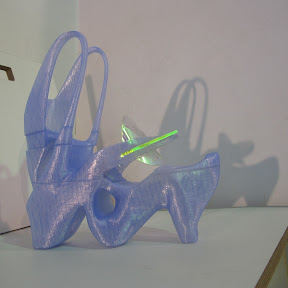 3D printed shoe