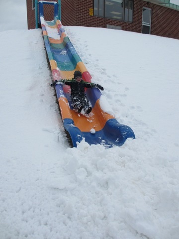 IMG_0178 IMG_0178