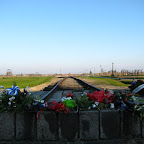 207.JPG