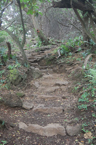 DSC_1001.jpg