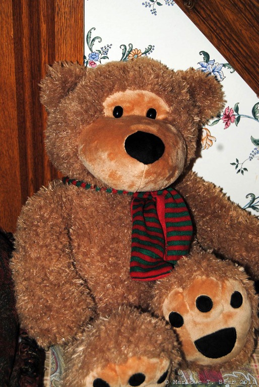 [tn_2011-11-25%2520Nickleby%2520%25283%2529%255B5%255D.jpg]