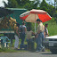 along the road