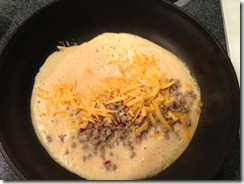 Powdered Egg Omelet