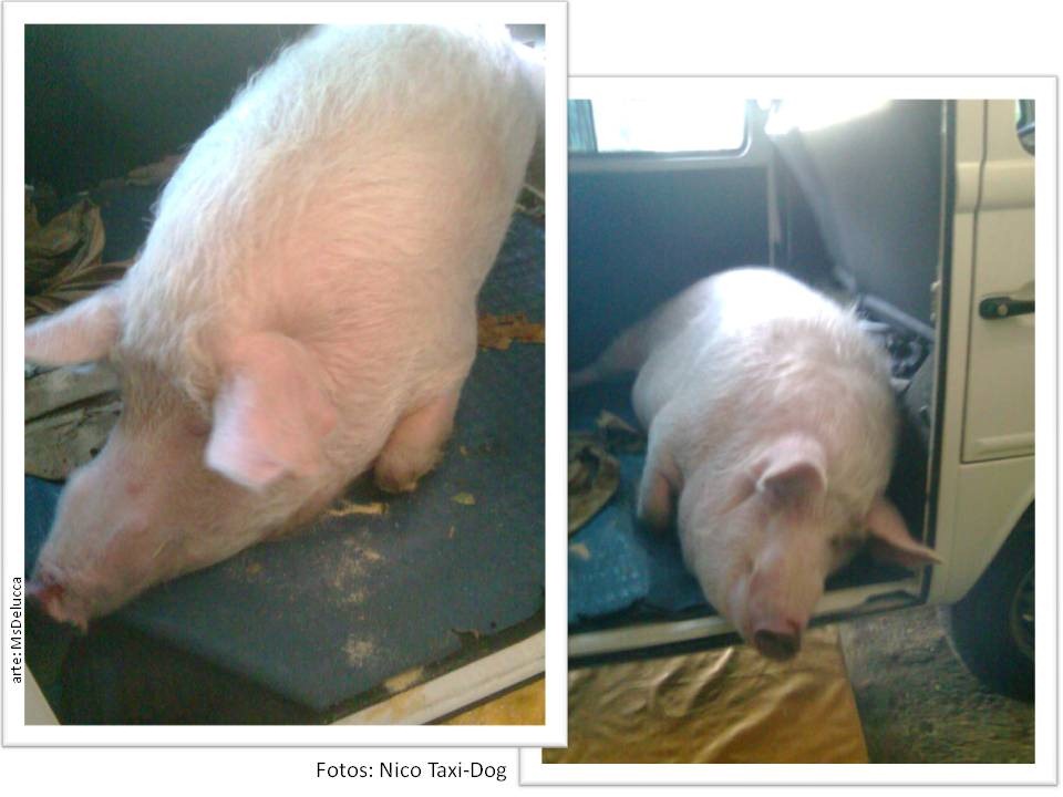 [Slide3%255B3%255D.jpg]