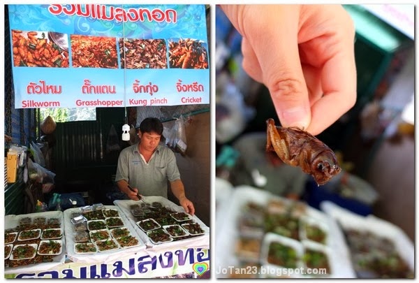 [things-to-do-in-chiang-mai-go-to-doi-suthep-temple-eat-insect%255B3%255D.jpg]
