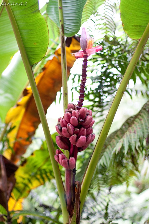 [20121213-IMG_291715.jpg]