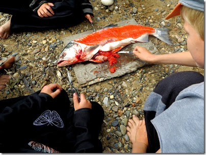 fish_8 fish_8