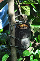 DSC_6104.JPG