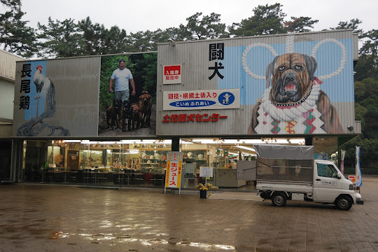 土佐闘犬センター